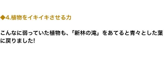 商品画像14