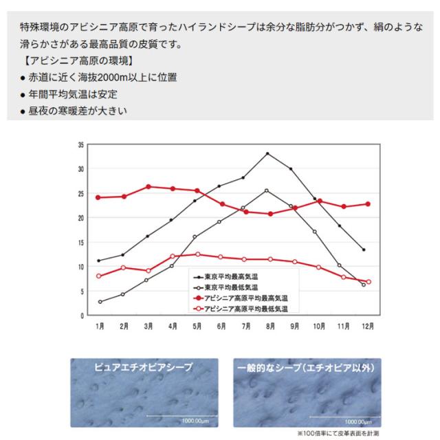 キャスコ gf-23301r