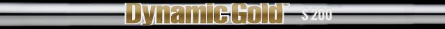 ダイナミックゴールドHT