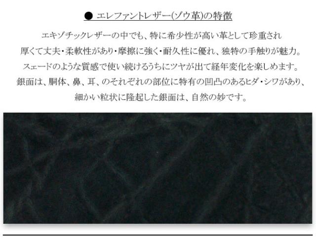ゾウ革　特徴