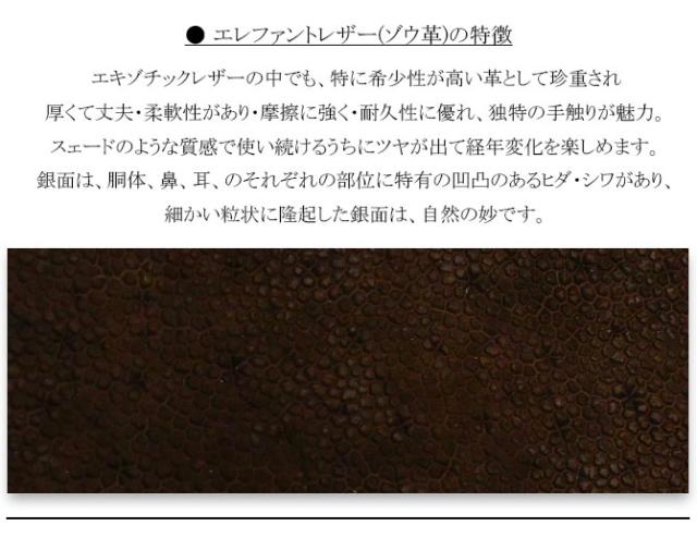 エレファントレザー(ゾウ革)　説明