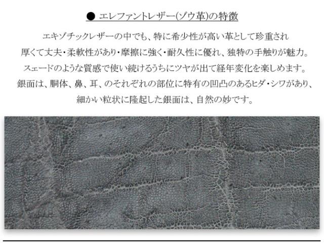 ゾウ革　説明
