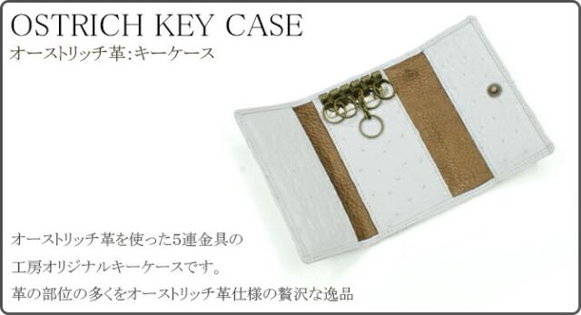 オーストリッチキーケース