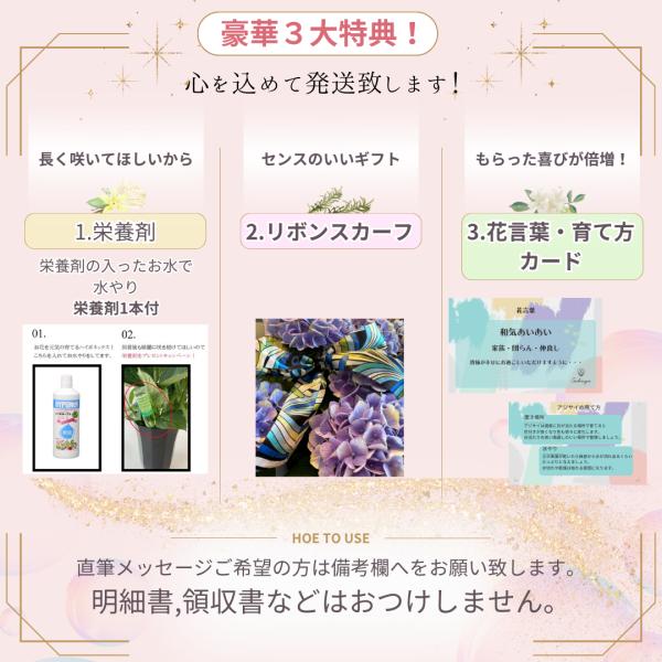 紫陽花 アート デザイン 花 インテリア 季節