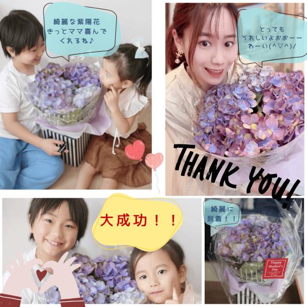 紫陽花 花 アート デザイン インテリア 梅雨