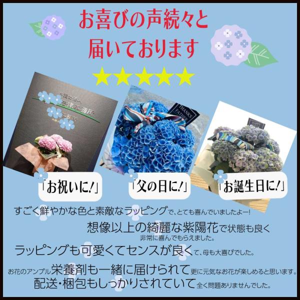 紫陽花 インテリア アート 花 季節 デザイン