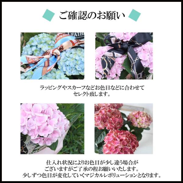 紫陽花 花 アート インテリア 季節 梅雨