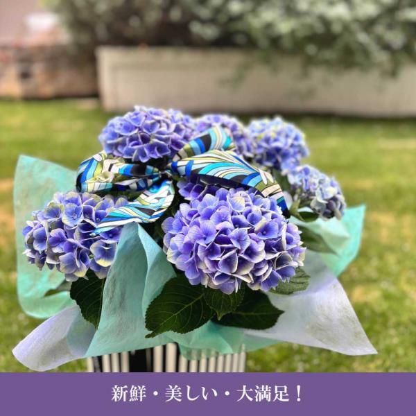 紫陽花 アート 花 季節 インテリア デザイン