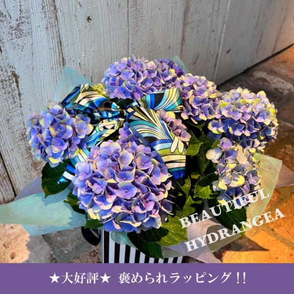 紫陽花 インテリア アート 花 季節 梅雨