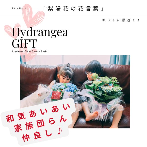 紫陽花 花 アート 梅雨 インテリア 季節