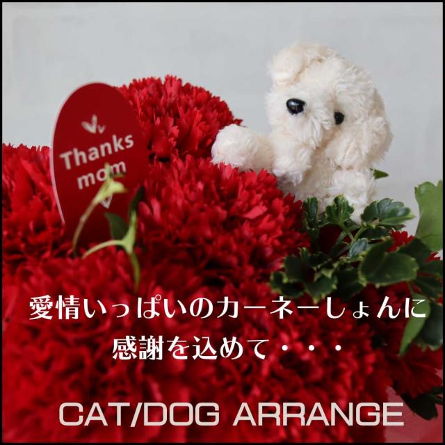 母の日アレンジ