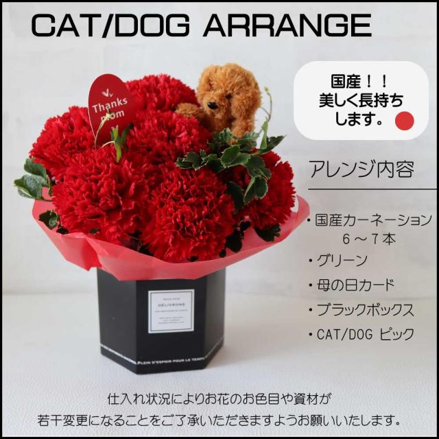 母の日ねこアレンジ