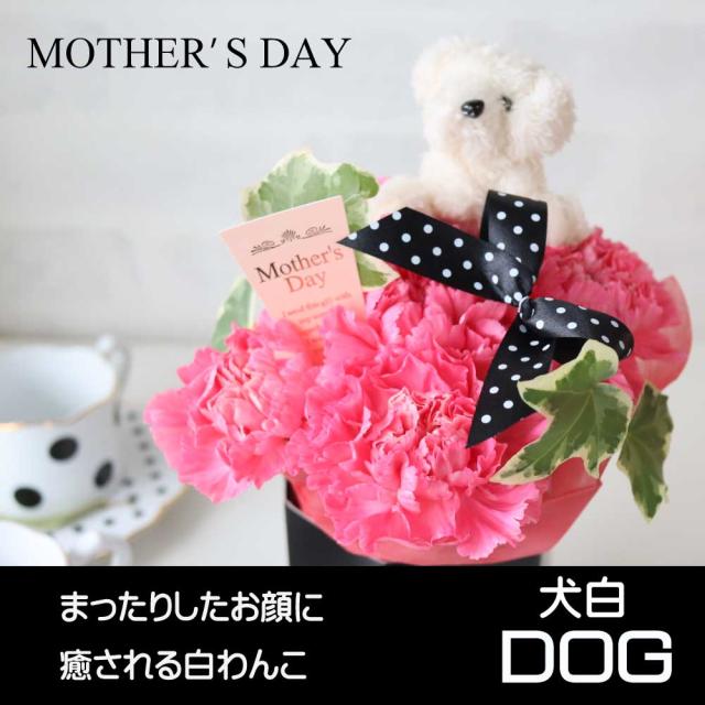 母の日ねこアレンジ