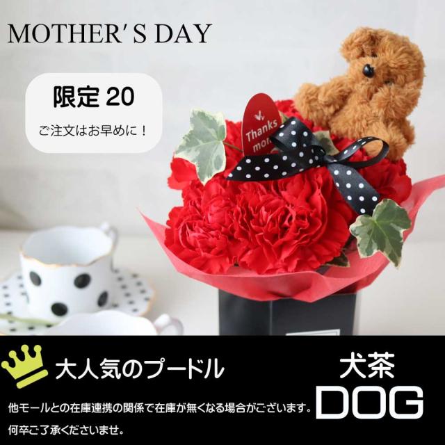 母の日ねこアレンジ