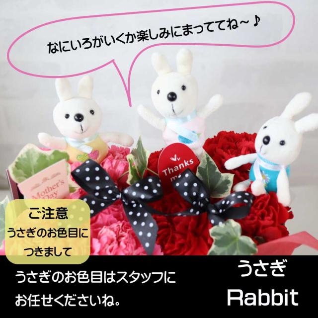 母の日ねこアレンジ