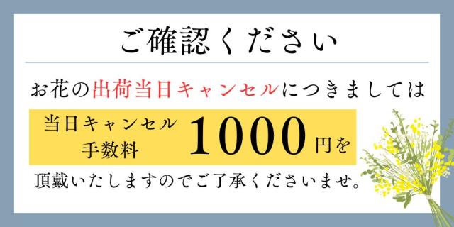 当日キャンセル