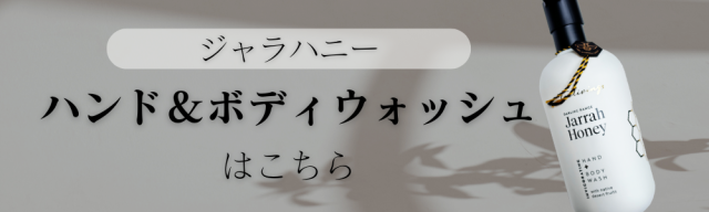 6ハンドウォッシュ