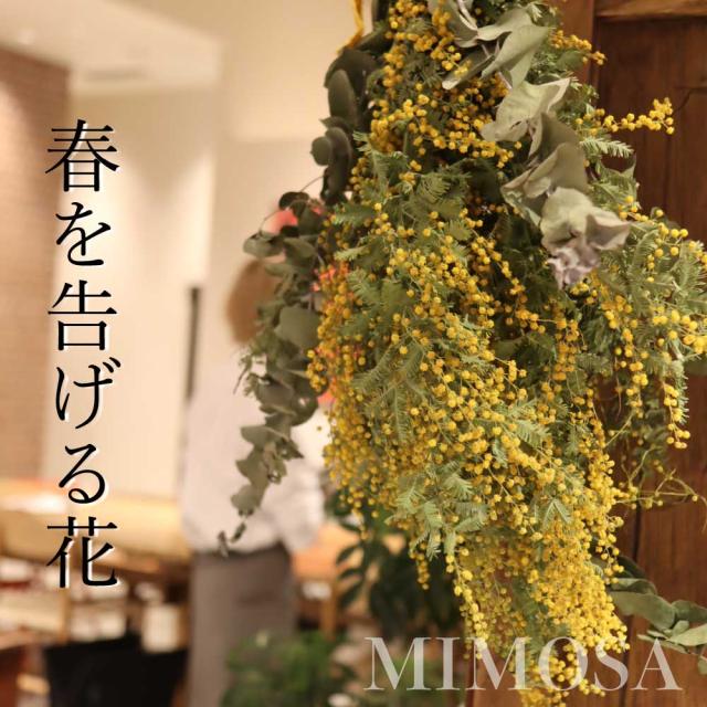 ミモザスワッグ