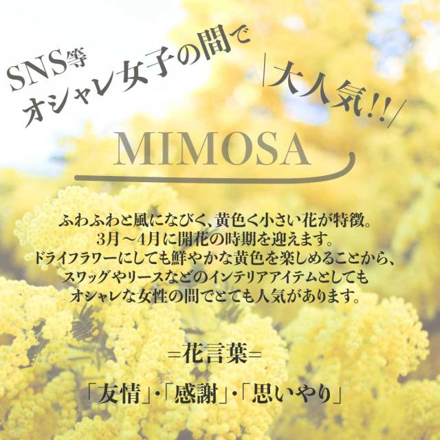 ミモザスワッグ