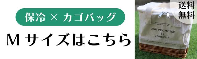 サイズ違い誘導