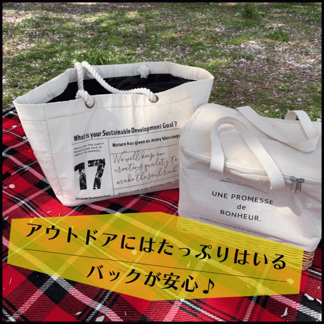 保冷エコバッグ