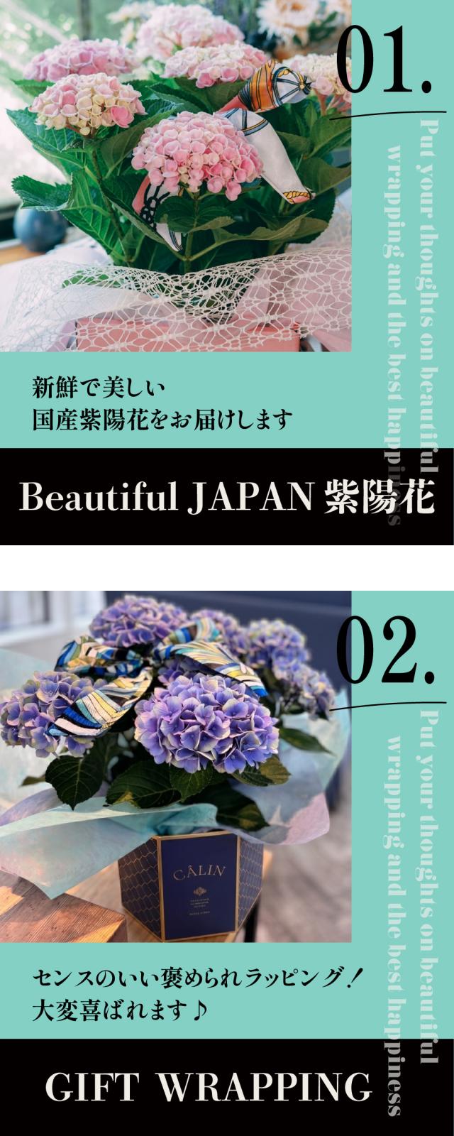 紫陽花 花 アート 季節 デザイン インテリア