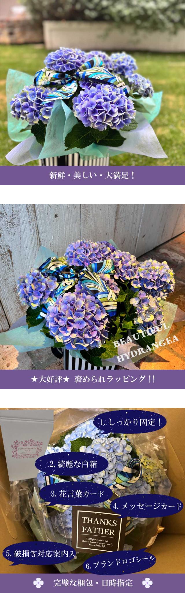 紫陽花 あじさい