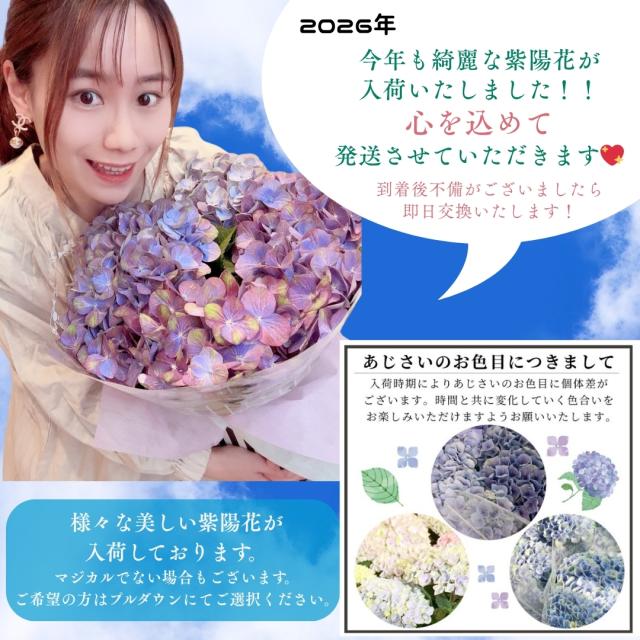 紫陽花 いろいろ カラフル 花 季節 梅雨