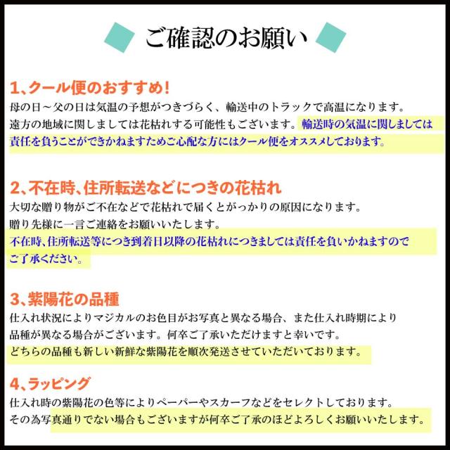 紫陽花 あじさい