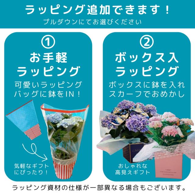 ラッピ追加
