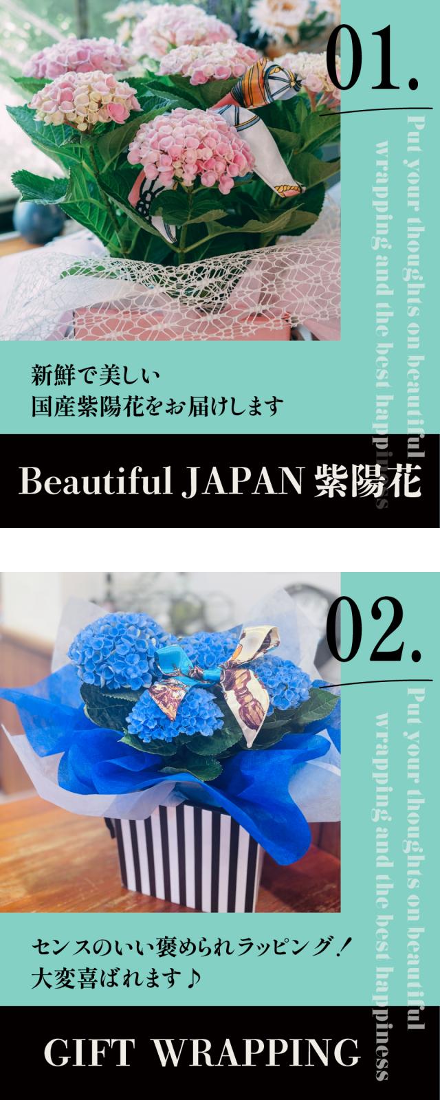 紫陽花 花 アート 季節 デザイン インテリア