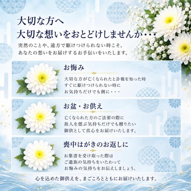 シーン