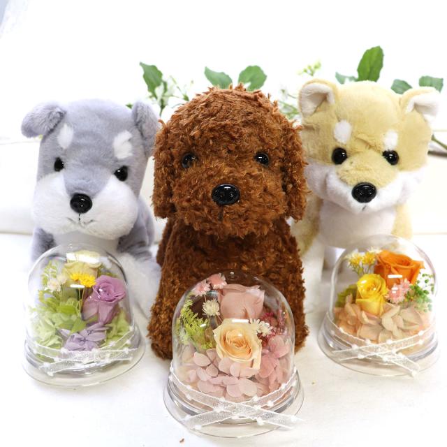 犬とお花のセット