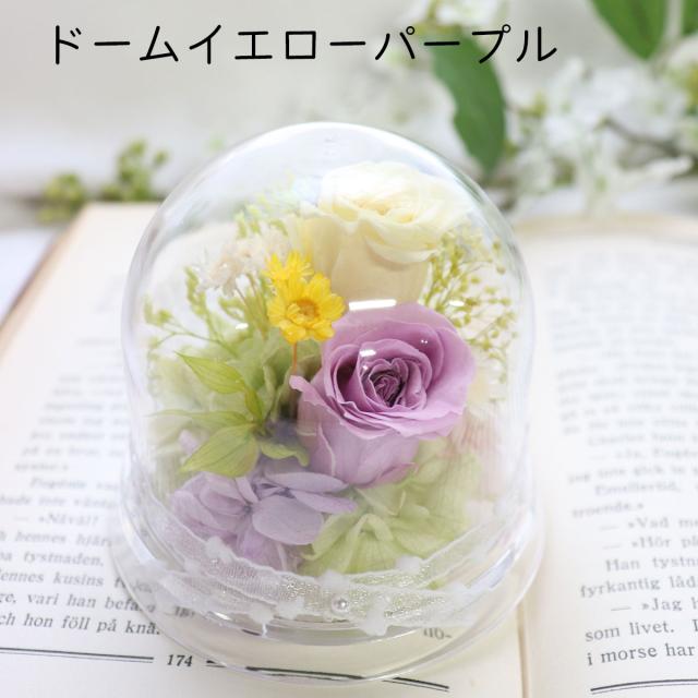 誕生日 結婚記念日 犬 ぬいぐるみ プリザーブドフラワー 結婚式 電報 結婚祝い