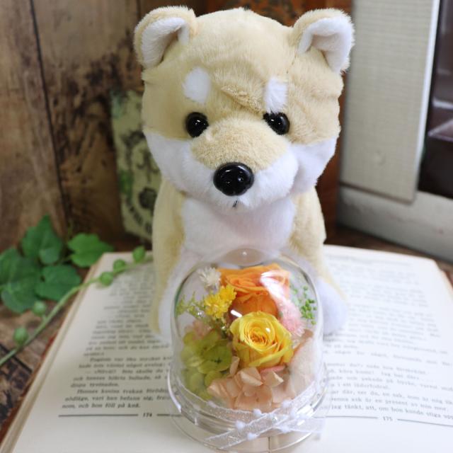 誕生日 結婚記念日 犬　ぬいぐるみ　プリザーブドフラワー　結婚式 電報 結婚祝い