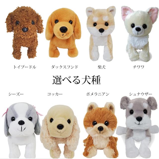 誕生日 結婚記念日 犬 ぬいぐるみ プリザーブドフラワー 結婚式 電報 結婚祝い