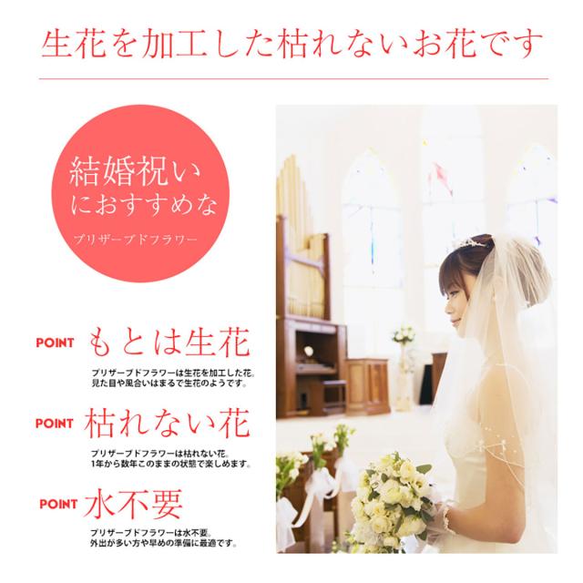 ハッピーウエディングテディ