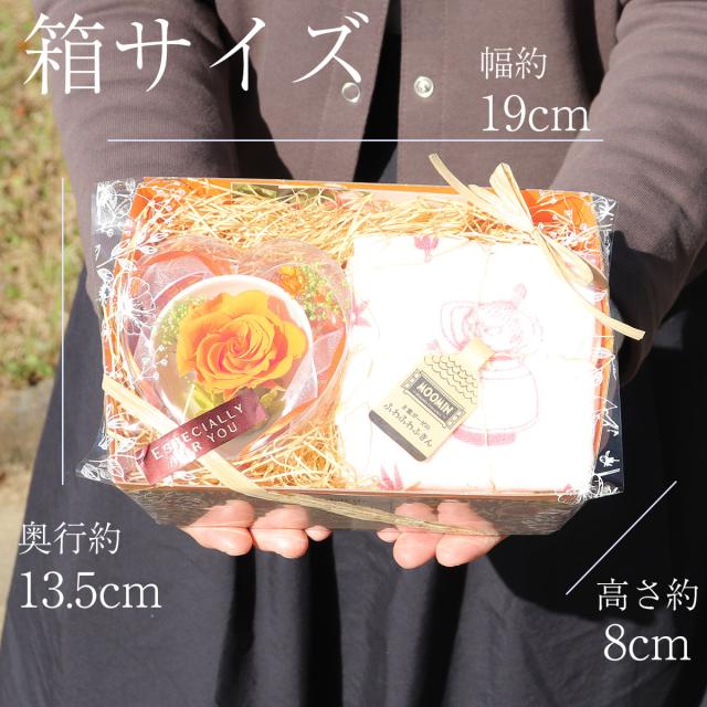 初めてのプリザーブドフラワー 通常カラー