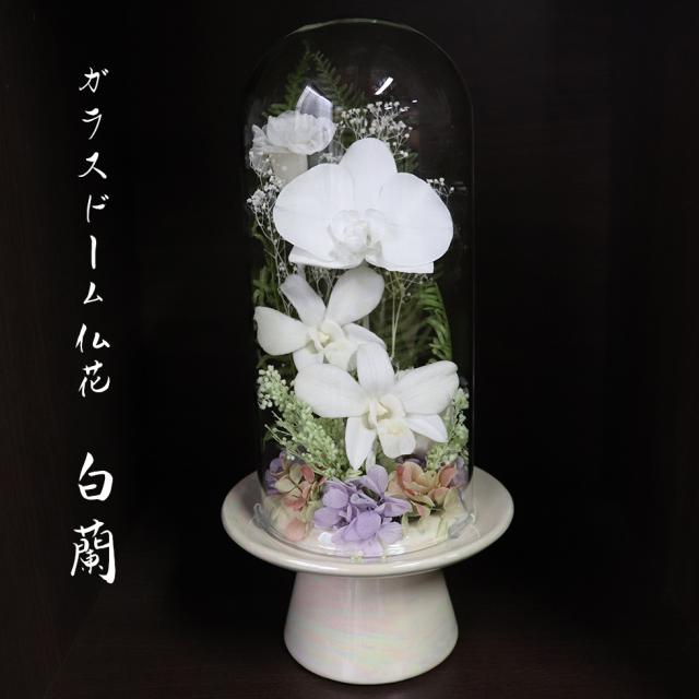 ガラスドーム　お供え プリザーブドフラワー