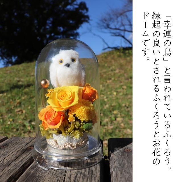 長寿祝い ドームアレンジ 傘寿 米寿のお祝い ふくろうアレンジ