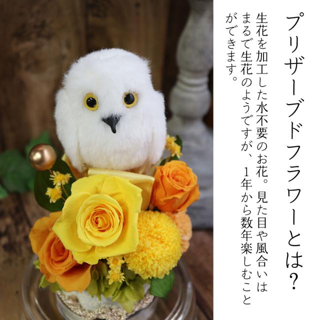 長寿祝い ドームアレンジ 傘寿 米寿のお祝い ふくろうアレンジ