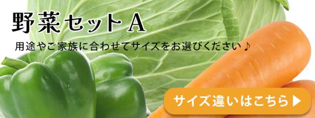 野菜セットA