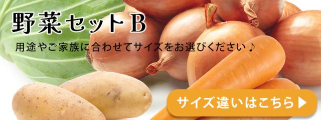 野菜セットB