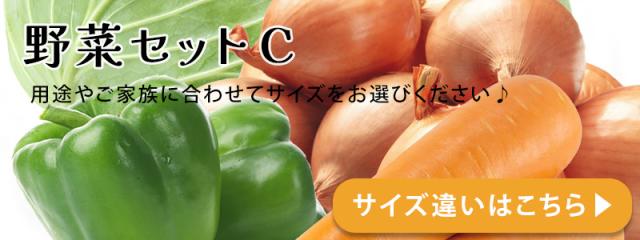 野菜セットC