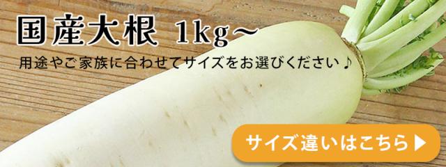 大根
