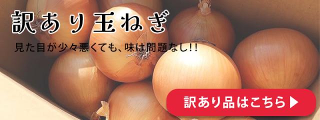 訳あり玉ねぎ