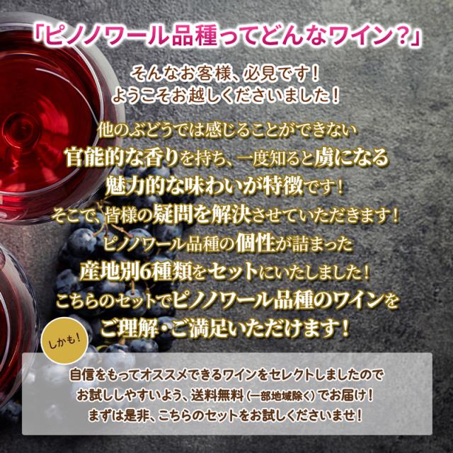 2_ピノノワールって？