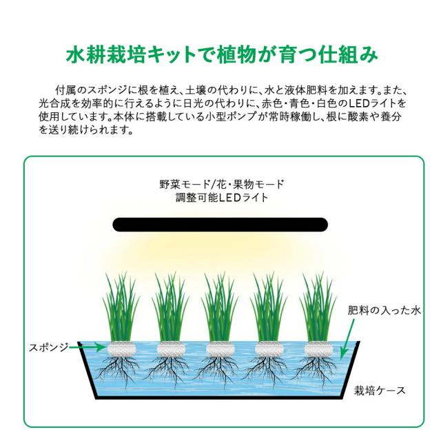 JustSmart 水耕栽培キット 太陽に左右されず育てられる 家庭菜園に憧れる 野菜 花 果物 ハーブ ベランダの日当たり良くない