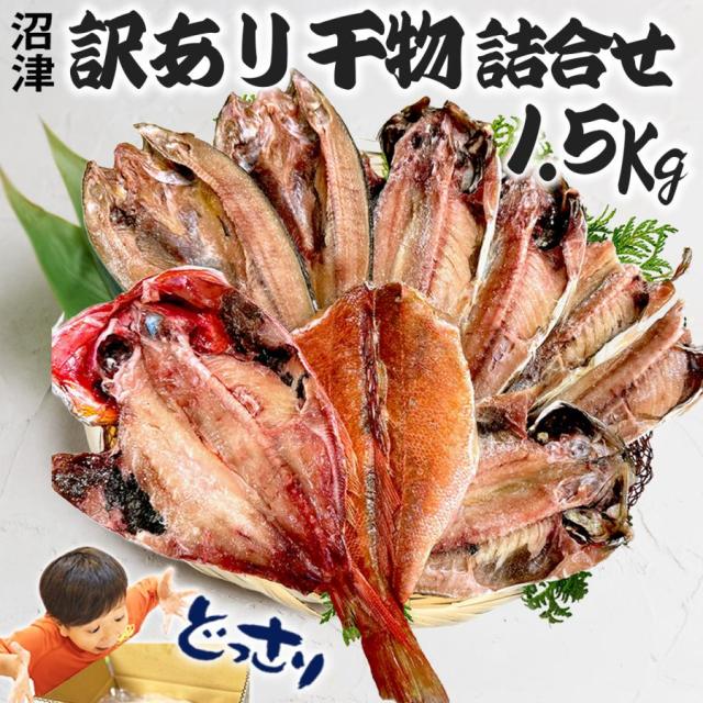 訳あり干物1.5Kg