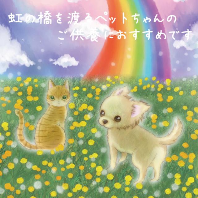 ジルコニア ネックレス